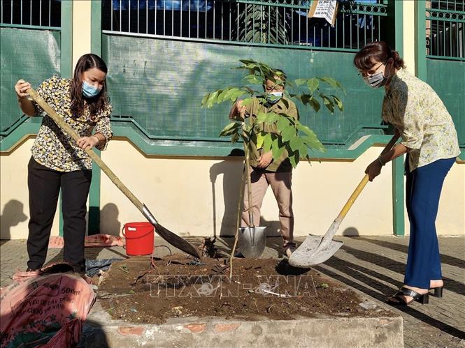 Trong ảnh: Hội viên Hội Liên hiệp Phụ nữ quận Tân Bình trồng cây trong khuôn viên Trường tiểu học Lê Thị Hồng Gấm (phường 10). Ảnh: Hồng Giang - TTXVN