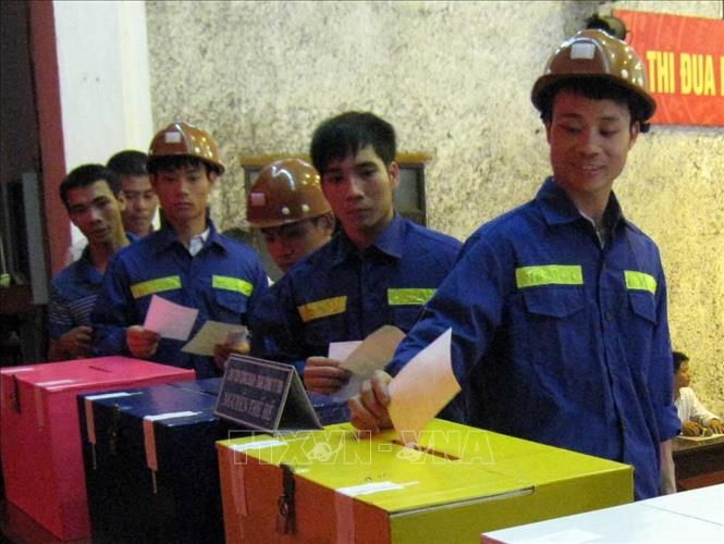 Trong ảnh: Công nhân Công ty TNHH MTV than Hòn Gai bỏ phiếu bầu đại biểu Quốc hội khóa XIII và đại biểu HĐND các cấp nhiệm kỳ 2011-2016 tại Tổ bầu cử số 6, phường Hà Lầm, TP Hạ Long (Quảng Ninh), sáng 22/5/2011. Ảnh: Đinh Mạnh Tú-TTXVN