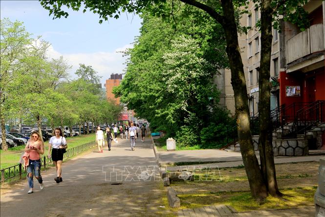 Trong ảnh: Phố Hồ Chí Minh tại thành phố Saint Petersburg (Nga). Ảnh: Trần Hiếu - PV TTXVN tại Nga