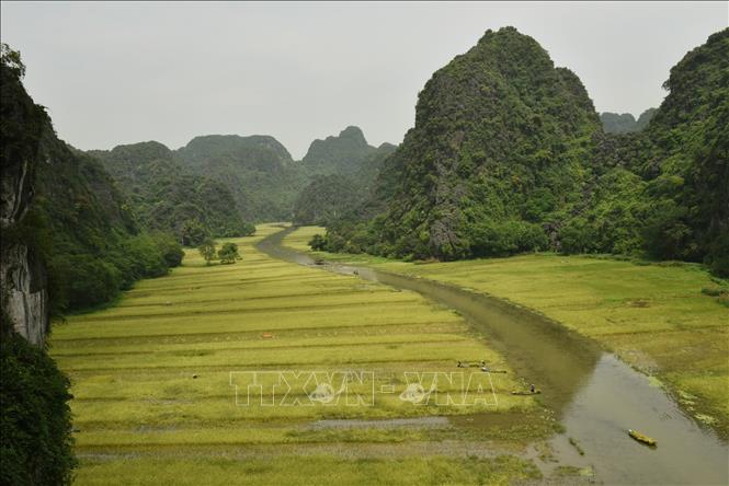 Trong ảnh: Những cánh đồng lúa nối tiếp như dệt lên bức thảm thiên nhiên giữa đất trời. Ảnh: Đức Phương - TTXVN