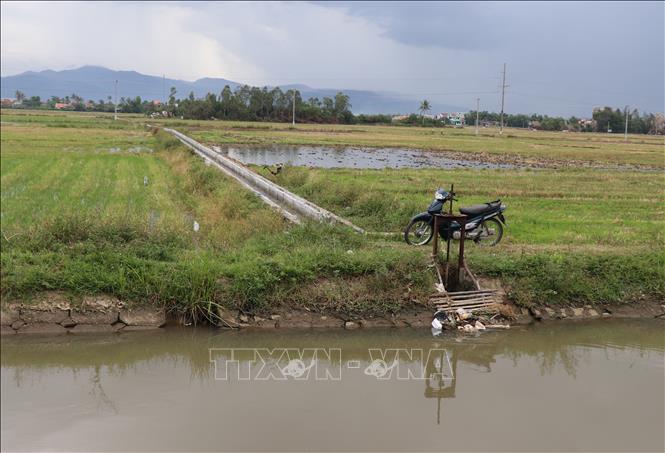Phú Yên chủ động cân đối nguồn nước vụ Hè Thu năm 2021 - Ảnh thời sự trong nước - Kinh tế ...
