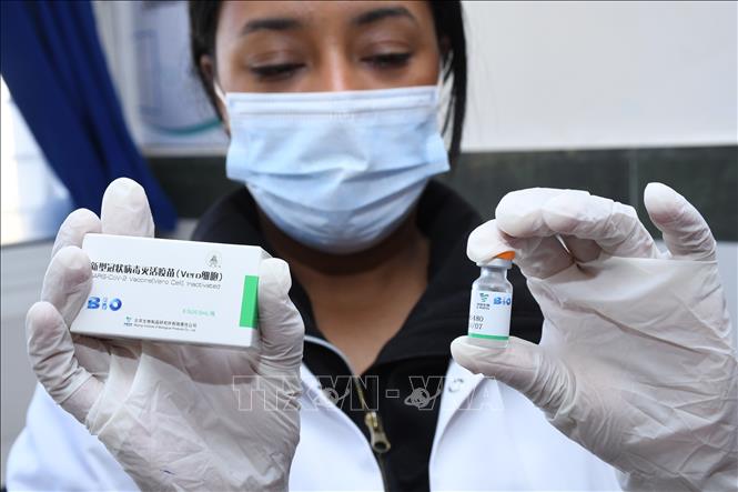 Trong ảnh: Vaccine ngừa COVID-19 của Sinopharm. Ảnh: THX/TTXVN