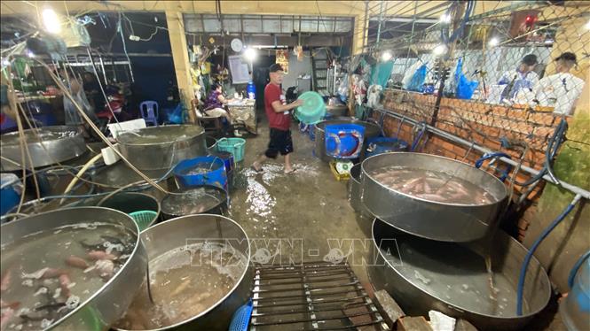 Công ty TNHH Châu Việt Long đã tự ý lắp đặt thiết bị, đường ống hoặc các đường thải khác để xả chất thải phát sinh từ hoạt động của chợ đầu mối thủy hải sản Long Xuyên không qua xử ra lý môi trường (ảnh chụp ngày 20/4/2021). Ảnh: Công Mạo-TTXVN