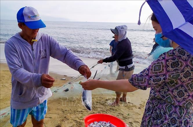 Trong ảnh: Người dân, du khách rất thích được xem kéo cá và tranh thủ mua vì cá tươi đảm bảo chất lượng. Ảnh: Trần Lê Lâm – TTXVN