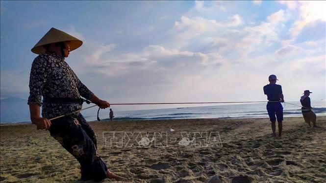 Trong ảnh: Tất cả mọi người đều có thể tham gia kéo lưới không kể nam, nữ, già trẻ. Ảnh: Trần Lê Lâm – TTXVN