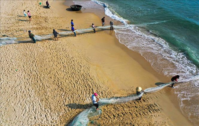 Trong ảnh: Ngư dân từ từ kéo lưới quây cá trên bãi biển. Ảnh: Trần Lê Lâm - TTXVN

