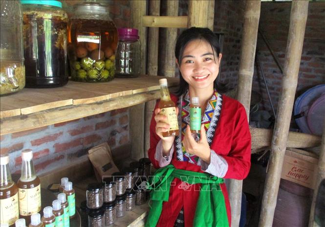 Trong ảnh: Chi Nguyễn Lê Ngọc Linh (người Thổ, sinh năm 1990), thôn Thanh Xuân, xã Hóa Quỳ, huyện miền núi Như Xuân, tỉnh Thanh Hóa và sản phẩm mật ong sạch của Vườn rừng bản Thổ. Ảnh: Nguyễn Nam-TTXVN