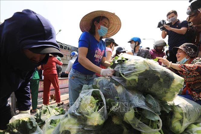 Trong ảnh: Chị Thuỷ và cùng bạn bè tại Hà Nội bán nông sản, tiêu thụ giúp nông dân Hải Dương bị ảnh hưởng bởi dịch Covid - 19. Ảnh: Thành Đạt – TTXVN