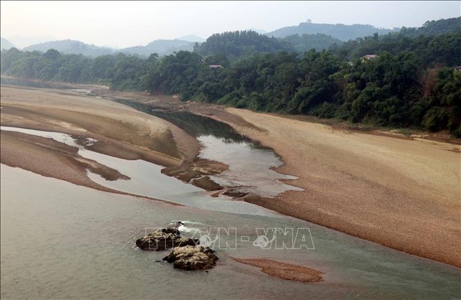 Trong ảnh: Sông Lô đoạn chảy qua địa bàn thành phố Tuyên Quang cạn trơ đáy. Ảnh: Quang Đán – TTXVN