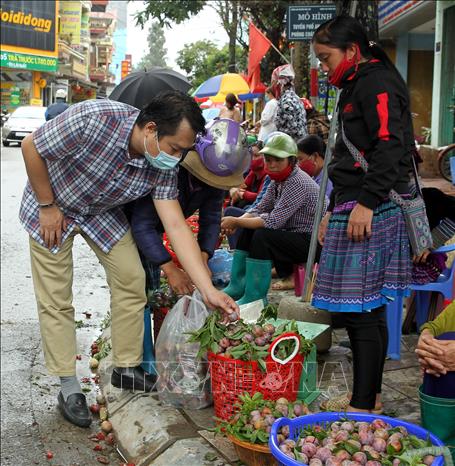 Trong ảnh: Giá mận năm 2021 giảm hơn nhiều so với mọi năm nhưng rất ít người đến mua do ảnh hưởng của dịch bệnh COVID-19. Ảnh: Quốc Khánh - TTXVN