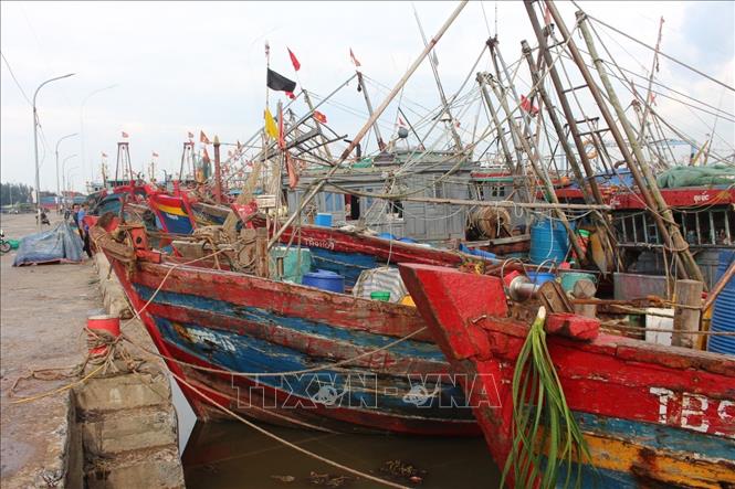 Tàu thuyền neo đậu tránh trú bão tại cảng cá Tân Sơn, xã Thụy Hải (Thái Thụy). Ảnh: TTXVN phát