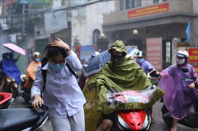 Trong ảnh: Cơn mưa to bất chợt, các thí sinh vẫn khẩn trương đến thi điểm thi tại Trường THCS Hà Huy Tập - quận Hai Bà Trưng). Ảnh: Hoàng Hiếu - TTXVN 
