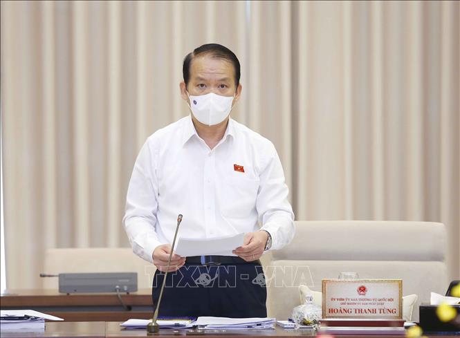 Chủ nhiệm Ủy ban Pháp luật của Quốc hội Hoàng Thanh Tùng trình bày Báo cáo thẩm tra. Ảnh; Doãn Tấn - TTXVN