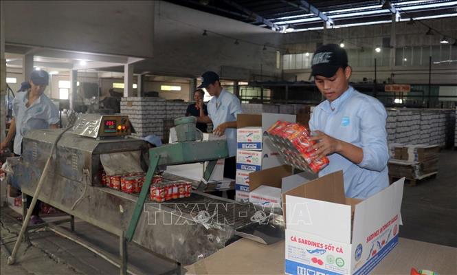 Photo: Packaging canned fish products at the KTC Canned Foodstuff Manufactory in the Mekong Delta province of Kien Giang. VNA Photo: Lê Huy Hải