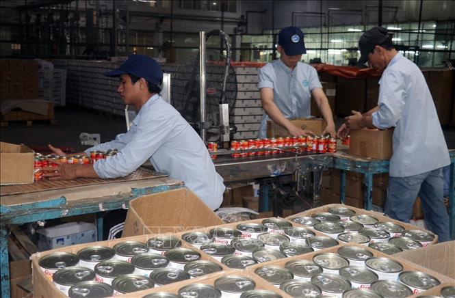 Photo: Packaging canned fish products at the KTC Canned Foodstuff Manufactory in the Mekong Delta province of Kien Giang. VNA Photo: Lê Huy Hải