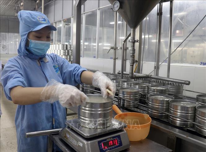 Photo: Processing canned fish at the KTC Canned Foodstuff Manufactory in the Mekong Delta province of Kien Giang. VNA Photo: Lê Huy Hải