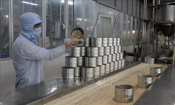 Photo: Processing canned fish at the KTC Canned Foodstuff Manufactory in the Mekong Delta province of Kien Giang. VNA Photo: Lê Huy Hải