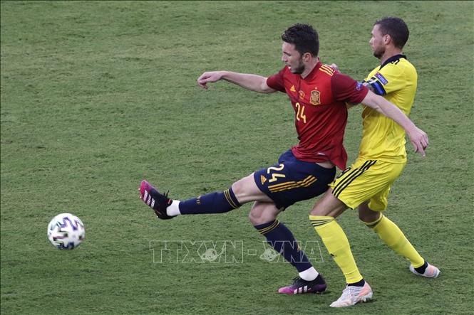 Trong ảnh: Hậu vệ Tây Ban Nha Aymeric Laporte  (trái) cản phá bóng trước tiền đạo Thụy Điển Marcus Berg. Ảnh: AFP/TTXVN