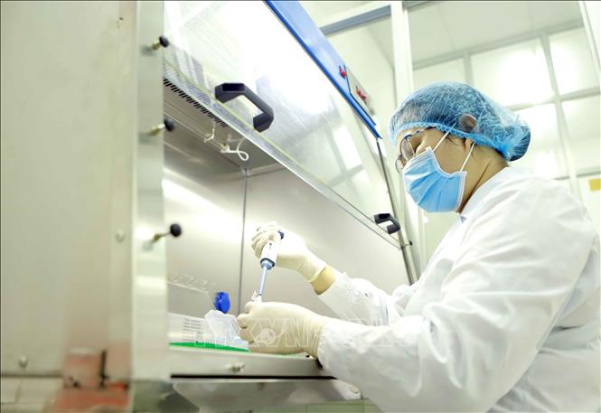 Trong ảnh: Hoạt động của kĩ thuật viên Trung tâm Kiểm soát bệnh tật tỉnh Vĩnh Phúc trong công tác xét nghiệm khẳng định virus SARS-CoV-2. Ảnh: Hoàng Hùng -TTXVN