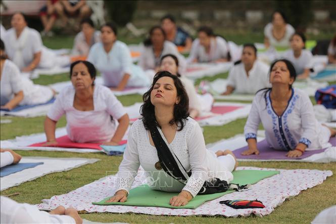 Trong ảnh: Biểu diễn tập Yoga tại  Amritsar, Ấn Độ, ngày 21/6/2021. Ảnh: THX/TTXVN