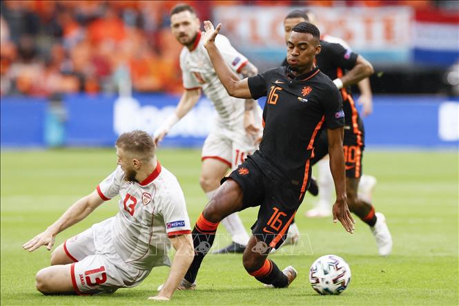 EURO 2020: Bắc Macedonia gặp Hà Lan - Ảnh thời sự quốc tế ...