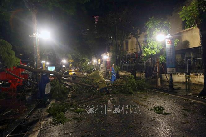 Trong ảnh: Công nhân công ty cây xanh xử lý cây đổ trên phố Cổ Tân (Hà Nội) sau cơn mưa tối 22/6 . Ảnh: Tuấn Đức - TTXVN