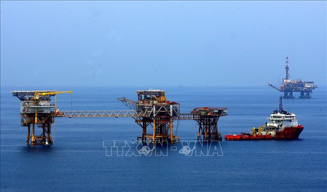 Trong ảnh: Các giàn khoan khai thác dầu khí của Liên doanh Vietsovpetro tại mỏ Bạch Hổ.  Ảnh: Huy Hùng - TTXVN