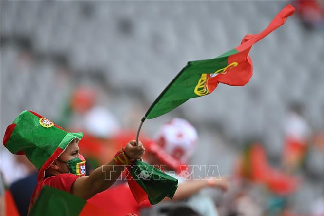 Trong ảnh: Cổ động viên Bồ Đào Nha trong trận đối đầu giữa đội nhà với tuyển Đức ở lượt trận thứ hai bảng F. Ảnh: AFP/TTXVN