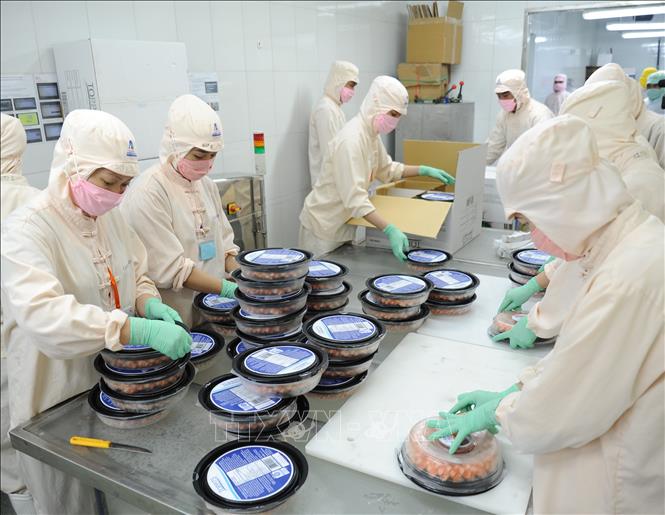 Ca Mau posts growth in shrimp exports in H1 despite pandemic VNA