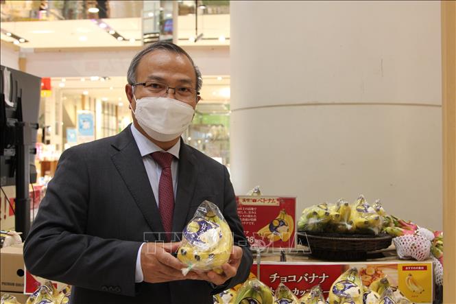 Đại sứ Vũ Hồng Nam giới thiệu quả chuối Việt Nam với các phóng viên Nhật Bản. Ảnh: Đào Thanh Tùng-P/v TTXVN tại Nhật Bản