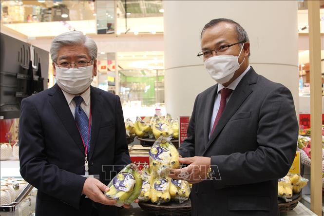 Ông Soichi Okazaki (trái), Ủy viên Ban Điều hành AEON phụ trách khu vực ASEAN và Đại sứ Vũ Hồng Nam (phải) giới thiệu quả chuối Việt Nam với các phóng viên Nhật Bản. Ảnh: Đào THanh Tùng-P/v TTXVN tại Nhật Bản