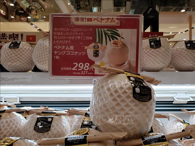 Dừa Việt Nam được bày bán tại siêu thị AEON Lake Town ở Saitama (Nhật Bản). Ảnh: Đào Thanh Tùng-P/v TTXVN tại Nhật Bản