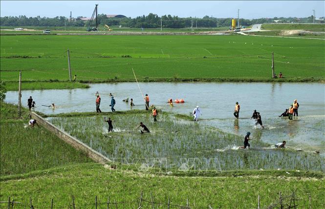 Trong ảnh: Tình huống giả định của buổi diễn tập: lực lượng chức năng tìm kiếm, cứu nạn tại thực địa. Ảnh: Hoàng Hùng - TTXVN