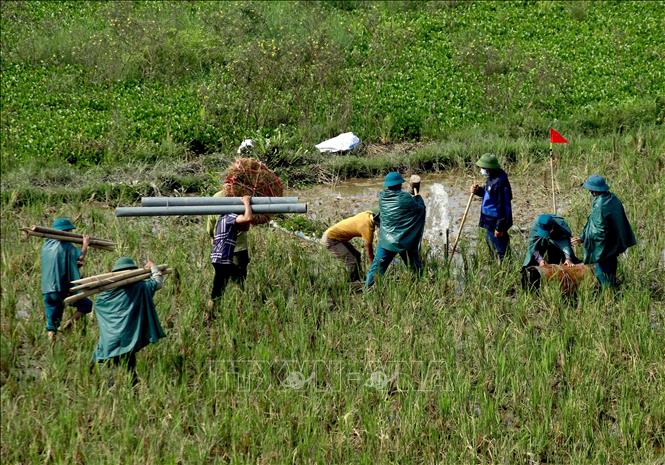 Trong ảnh: Tình huống giả định của buổi diễn tập: lực lượng chức năng được huy động để xử lý mạch đùn, mạch sủi số 1 tại chân đê địa phận thôn Chằm, xã Hoàng Đan, huyện Tam Dương, đe dọa vỡ đê tả Phó Đáy. Ảnh: Hoàng Hùng - TTXVN