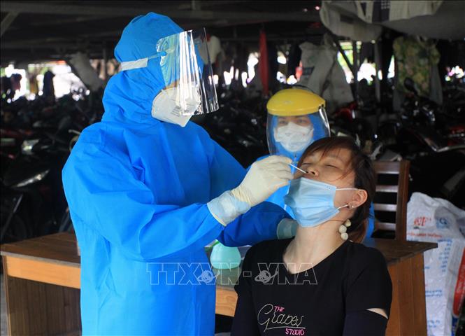 Covid 19 Thai Binh Nỗ Lực Lấy Mẫu Xet Nghiệm Nhanh Chinh Xac để Ngăn Chặn Dịch Bệnh ảnh Thời Sự Trong Nước Văn Hoa Xa Hội Thong Tấn