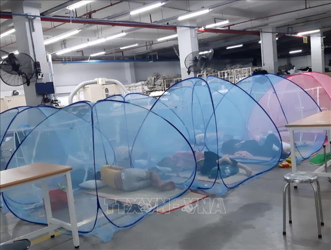 Trong ảnh: Công nhân của Công ty TNHH Gỗ Kỹ nghệ WANEK 2 (phường Hòa Phú, thành phố Thủ Dầu Một, tỉnh Bình Dương) đang nằm nghỉ trong khu vực phong toả của Công ty. Ảnh: TTXVN phát
