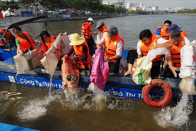 Sở Nông nghiệp và Phát triển nông thôn TP Hồ Chí Minh tổ chức thả cá giống xuống kênh Tàu Hủ-Bến Nghé, nhằm tái tạo và bảo vệ nguồn thủy sản. Ảnh: Mạnh Linh - TTXVN