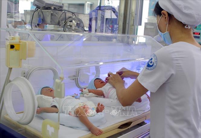 Cặp song sinh nhờ mang thai hộ đầu tiên khu vực phía Nam tại Bệnh viện Từ Dũ, TP Hồ Chí Minh. Ảnh: Phương Vy - TTXVN