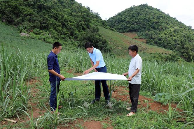 Trong ảnh: Cán bộ huyện Yên Châu và người dân khảo sát vị trí được chọn để xây dựng điểm bố trí lại dân cư bản Na Pản, xã Chiềng Đông. Ảnh: Hữu Quyết - TTXVN
