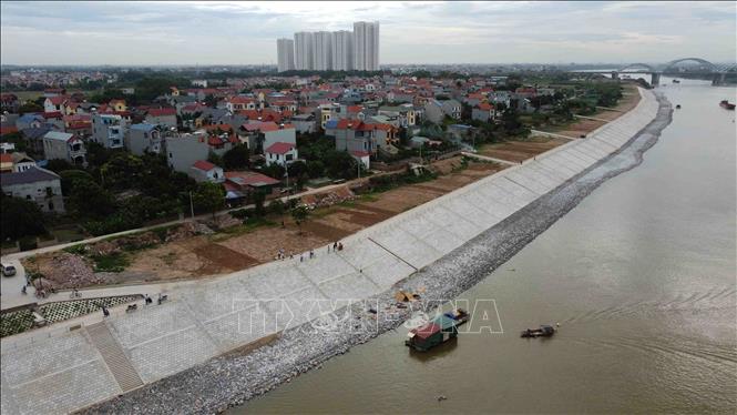 Trong ảnh: Dự án 