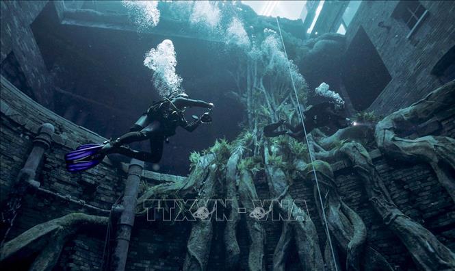 Trong ảnh: Các thợ lặn trải nghiệm bể bơi Deep Dive Dubai ở UAE ngày 10/7/2021. Ảnh: AFP/TTXVN