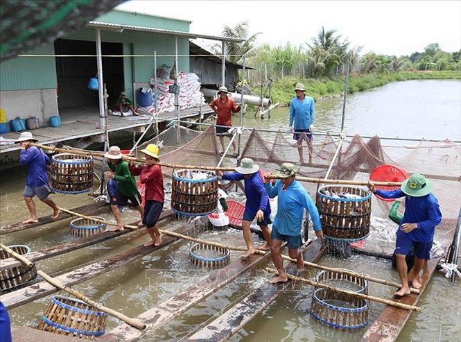 Đại hội Đảng toàn quốc lần thứ XIII đã xác định chủ thuyết phát triển “…  Khơi dậy khát vọng phát triển đất nước, phát huy ý chí, sức mạnh đại đoàn kết toàn dân tộc kết hợp với sức mạnh thời đại; tiếp tục đẩy mạnh toàn diện, đồng bộ công cuộc đổi mới; xây dựng và bảo vệ vững chắc Tổ quốc, giữ vững môi trường hòa bình, ổn định; phấn đấu đến giữa thế kỷ XXI nước ta trở thành nước phát triển, theo định hướng xã hội chủ nghĩa”. Đó không chỉ là mục tiêu mà còn là khát vọng của cả dân tộc Việt Nam. Trong ảnh: Phát triển nuôi thủy sản ở Cần Thơ phục vụ xuất khẩu, tạo việc làm và thu nhập ổn định thu cho hàng vạn lao động. Ảnh: Vũ Sinh - TTXVN