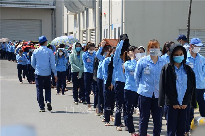 Trong ảnh: Các công nhân công ty TNHH Murata Manufacturing Việt Nam Đà Nẵng xếp hàng chờ xét nghiệm COVID-19. Ảnh: Quốc Dũng - TTXVN