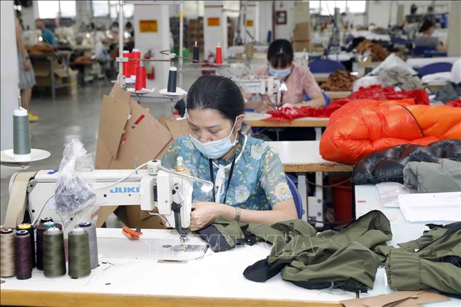 Trong ảnh: May hàng mẫu cho các hãng thời trang nước ngoài tại Công ty Maxport Hạ Đình, Thanh Xuân, Hà Nội. Ảnh: Trần Việt - TTXVN