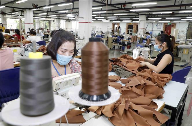 Trong ảnh: May hàng mẫu cho các hãng thời trang nước ngoài tại Công ty Maxport Hạ Đình, Thanh Xuân, Hà Nội. Ảnh: Trần Việt - TTXVN
