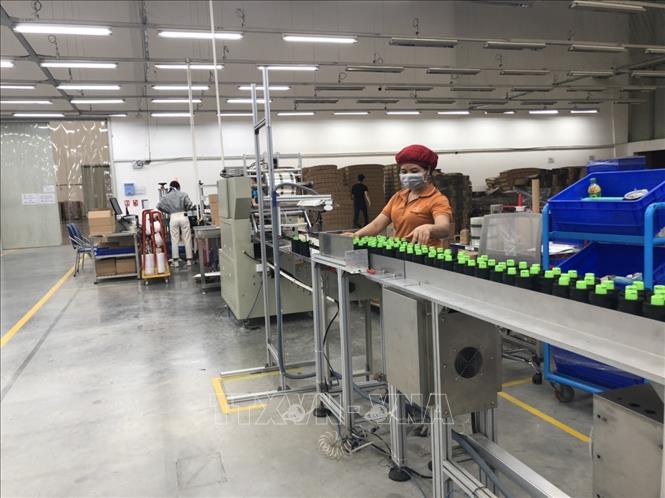 Công nhân Công ty Gunzetal Việt Nam lên dây chuyền sản xuất đảm bảo đầy đủ các vị trí công việc