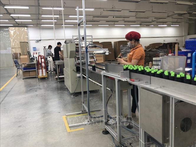 Công nhân Công ty Gunzetal Việt Nam lên dây chuyền sản xuất đảm bảo đầy đủ các vị trí công việc