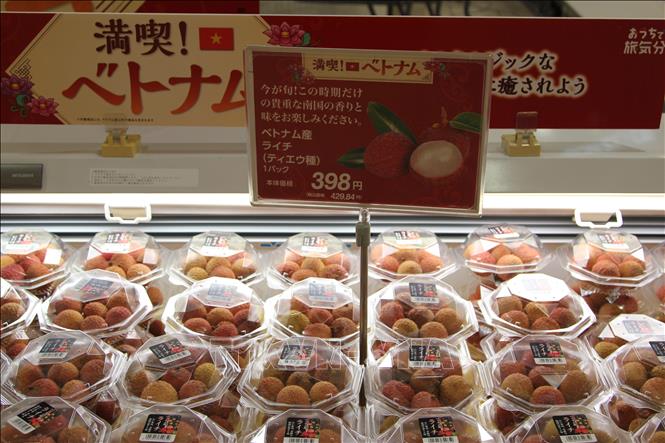Photo: Vietnamese lychees are on shelves of the AEON Lake Town supermarket in Saitama, Japan. VNA Photo