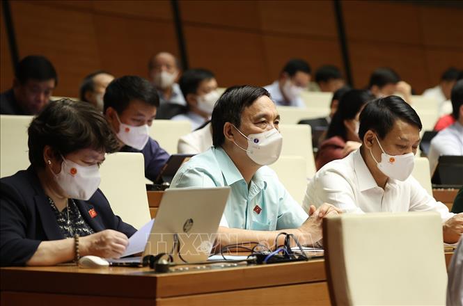 Trong ảnh: Đoàn đại biểu Quốc hội tỉnh Phú Thọ tham dự phiên họp sáng 22/7. Ảnh: Dương Giang-TTXVN