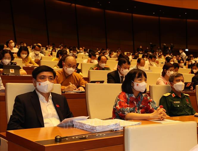Các đại biểu Quốc hội tỉnh Hải Dương dự phiên họp sáng 22/7. Ảnh: Trí Dũng- TTXVN